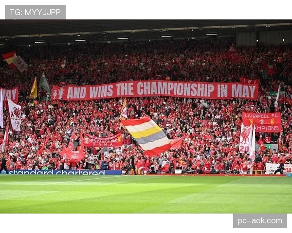 球迷行为规范更新，英超加强场内管理